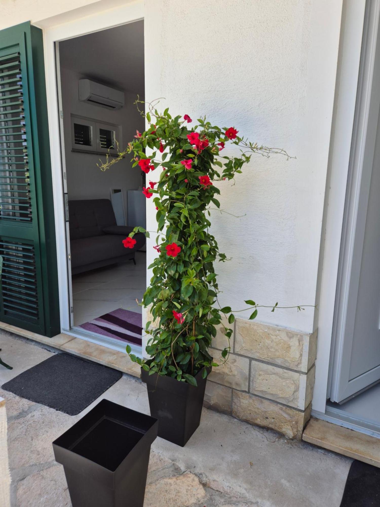 Apartman Bauer - Omis- Nemira Exterior foto